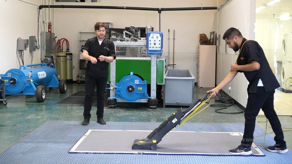 rug cleaning