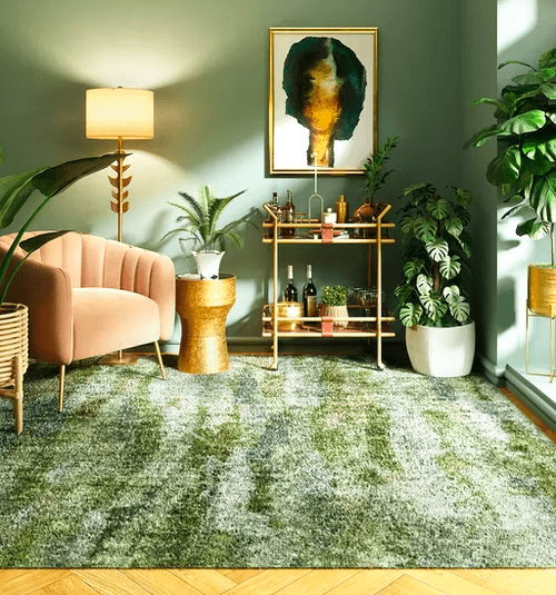 Read more about the article What rug should you get?