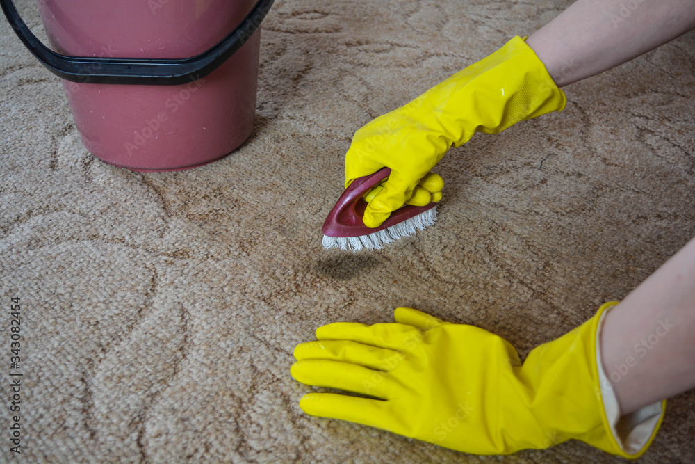 You are currently viewing 4 Handy Rug Cleaning Tips for Keeping Your Rugs Looking Brand New