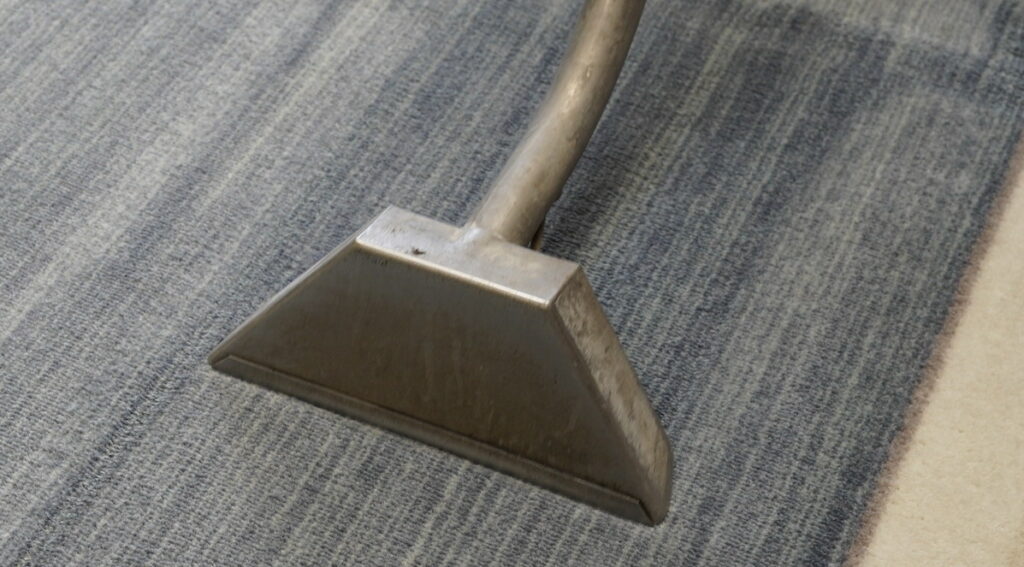 area rug cleaning